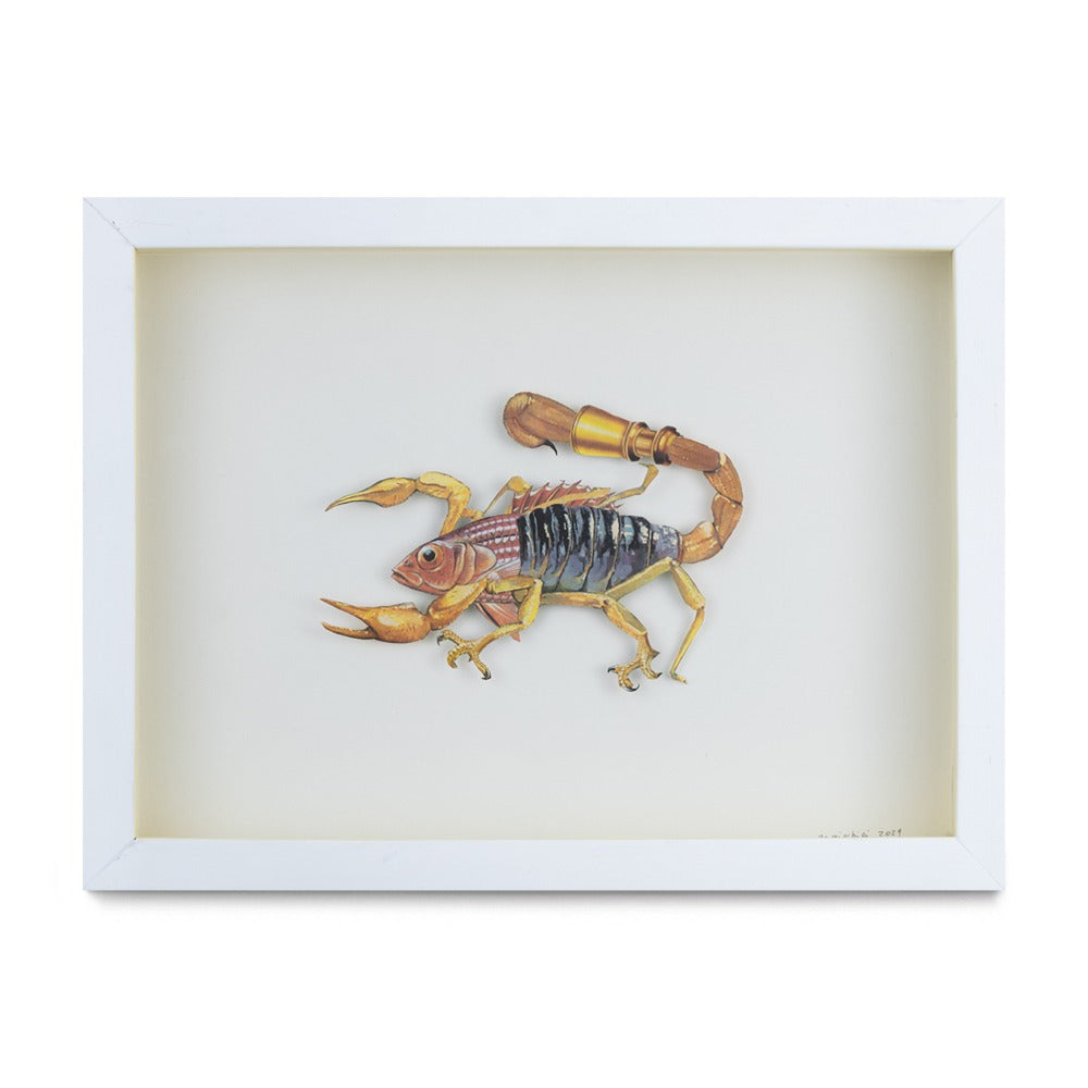 Scorpiscopius Telescopatus