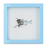 Lepus Pisces