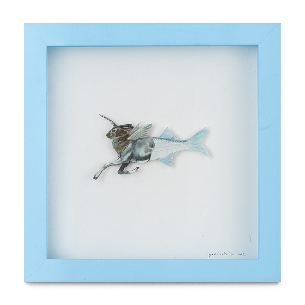 Lepus Pisces