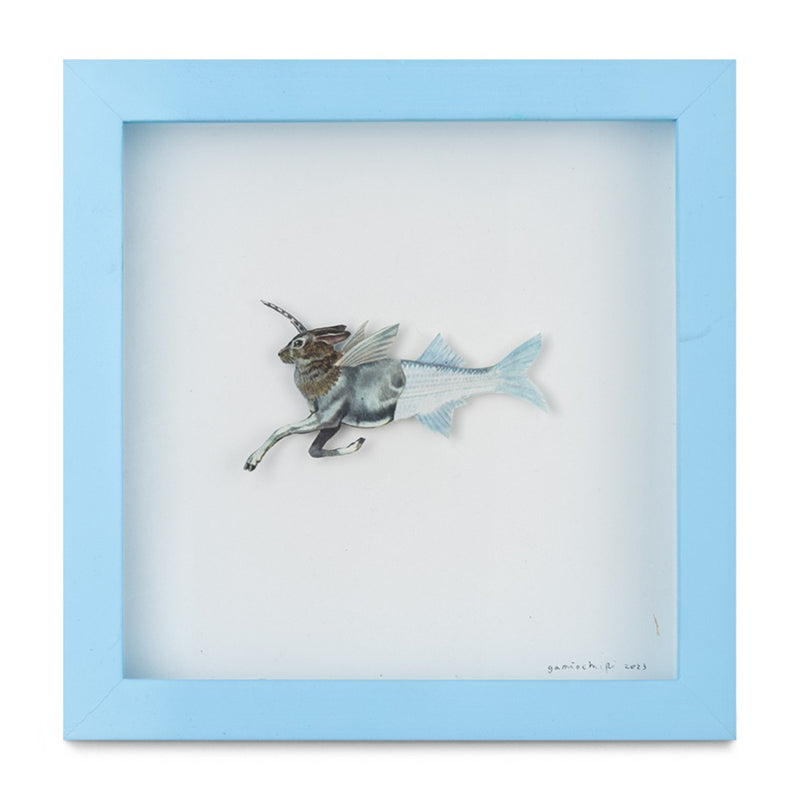 Lepus Pisces