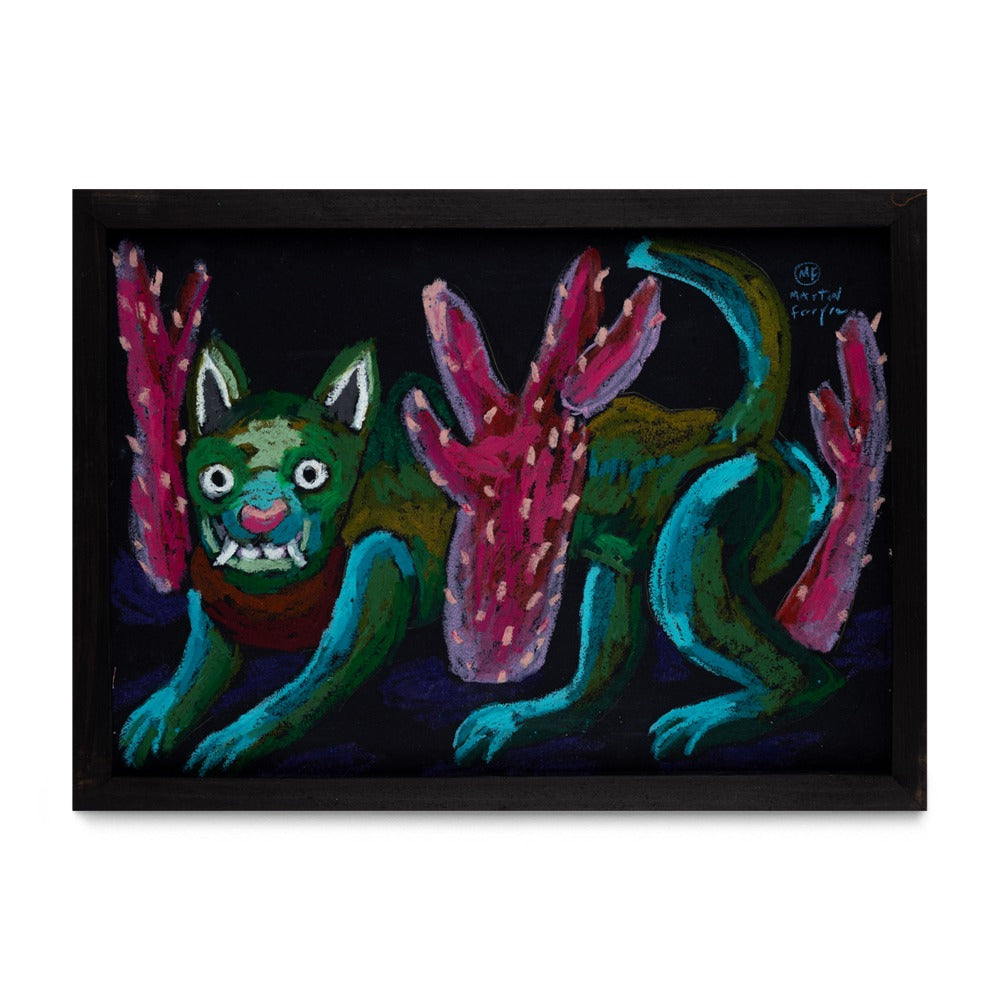 Gato Noche, 2025