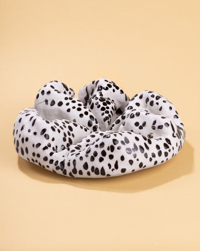 El Principio De Todo, 2026