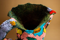 La Memoria De Un Árbol, 2026