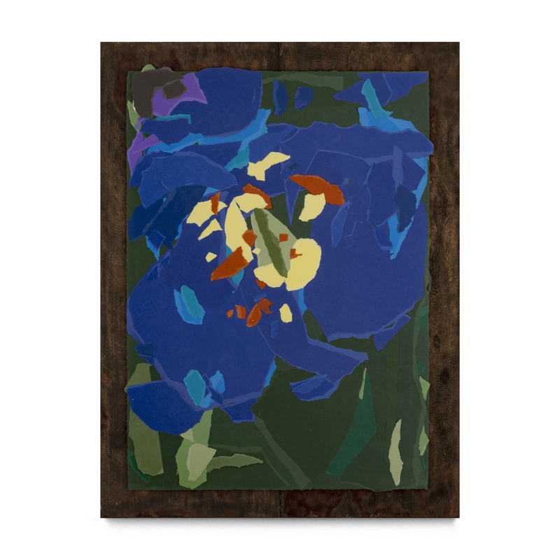 Flor #129, 2026.