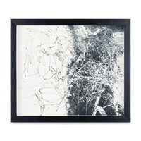 Bosque Negro
