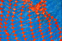 Red Plastic IV