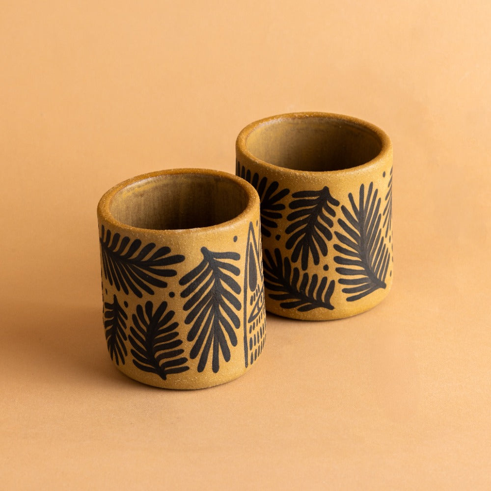Vasos 6oz 2 Piece Set