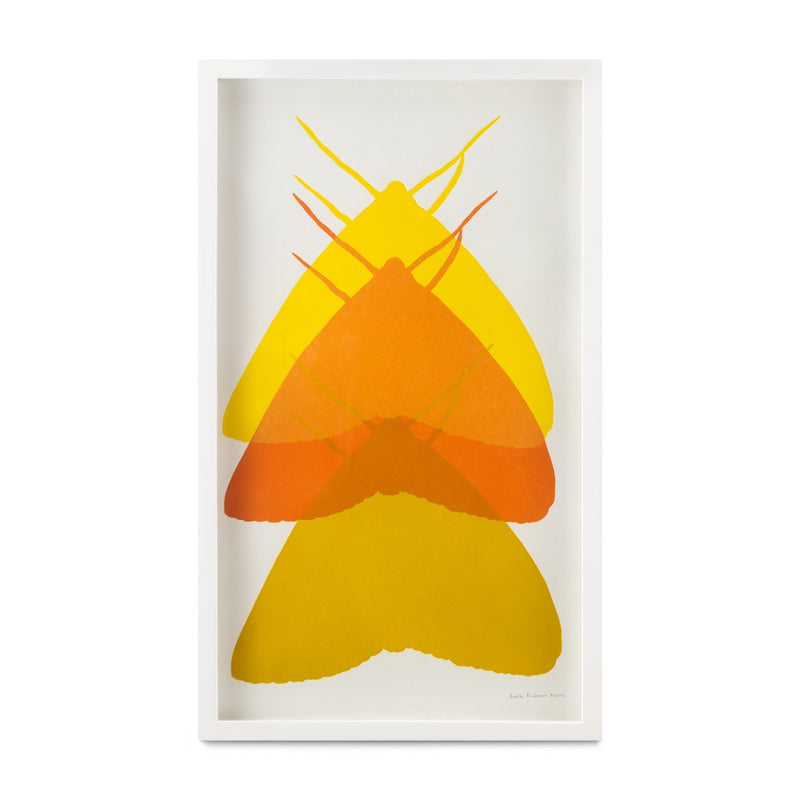 Polilla II