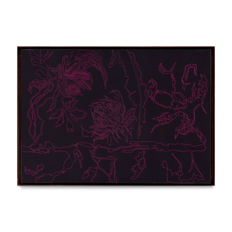 Una Jungla Por Descubrir V, 2025