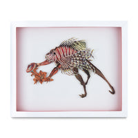 Rubrum Pisces