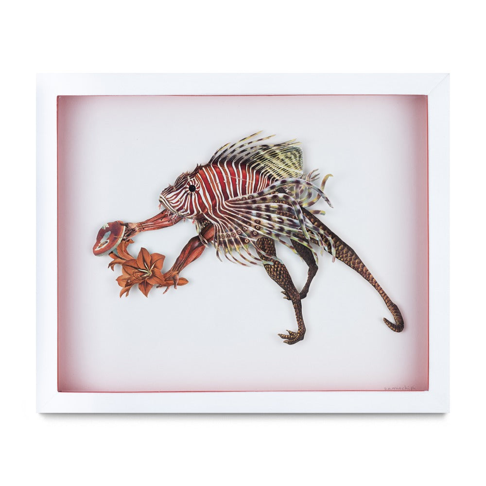 Rubrum Pisces