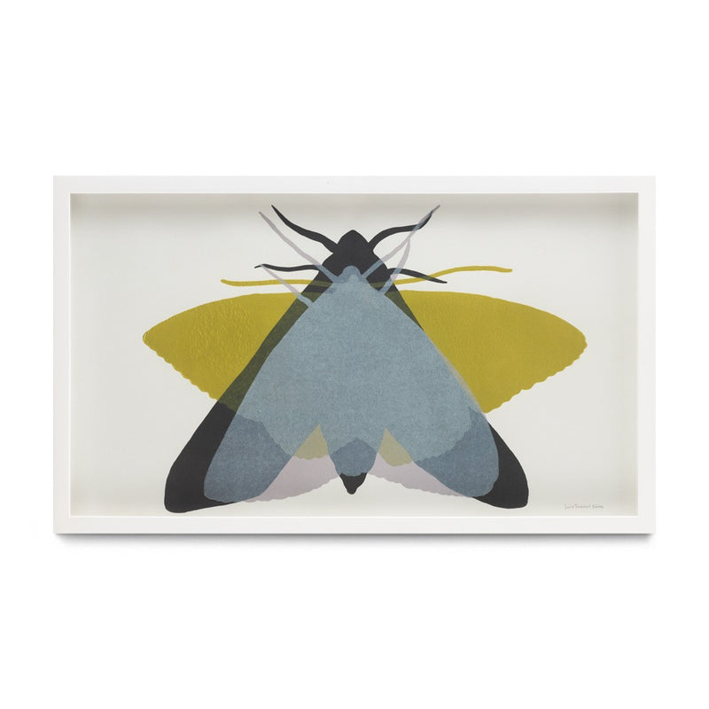 Polilla III